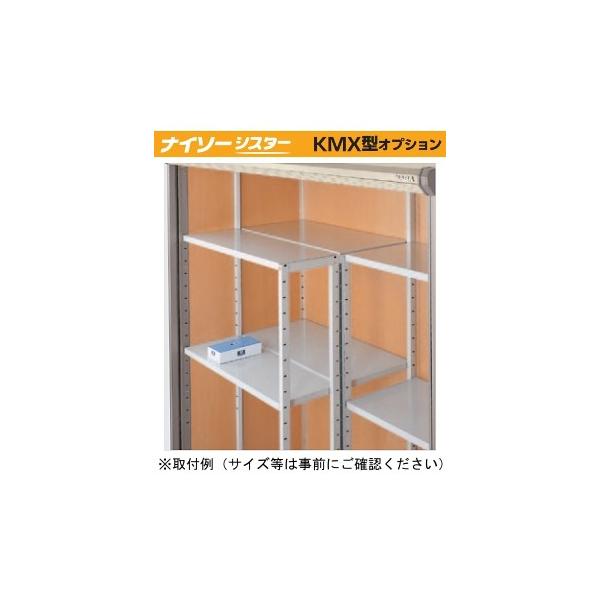 Ciou w֓聦x OI K10(11g) B2-1095 iC\[VX^[ KMX^IvV w{̓̂݁x