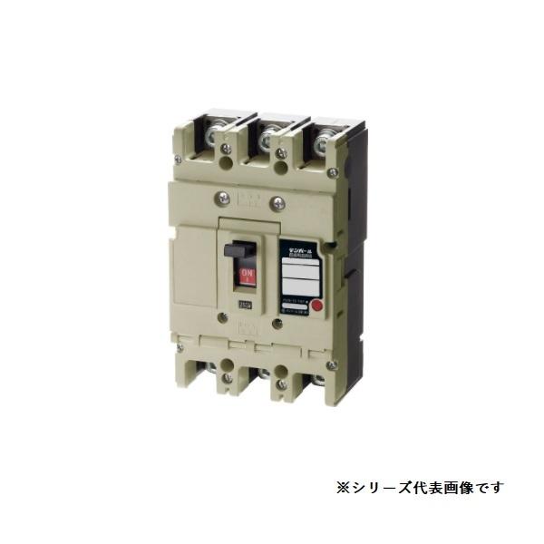 �e���p�[���@B252FH25�@�z���p�Ւf�� ���Ւf�e�� �O��4������H�p 250AF 2P2E 200-415-500V 8kV 250A ���󒍕i [§]