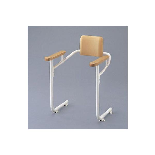 gCp肷 TOTO@EWC222@VXe^Cv wt []