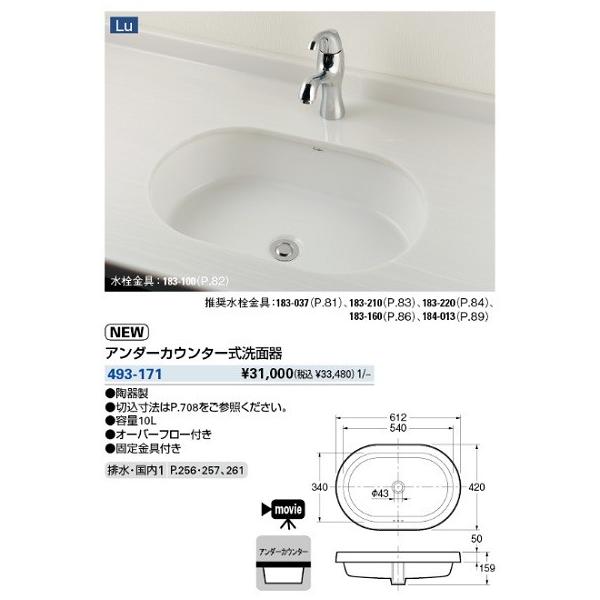 ʏ JN_C@493-171@A_[JE^[ʊ []