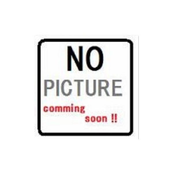 GRL[g _CL KPS053A42 ht[h zw 󒍐Yi §