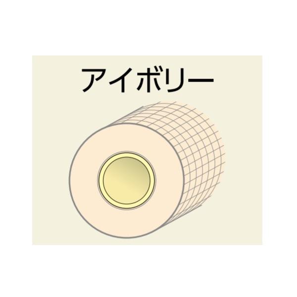 BRIDGESTONE（ブリヂストン） PL16JH-ZSC らく楽パイプ(ストレート