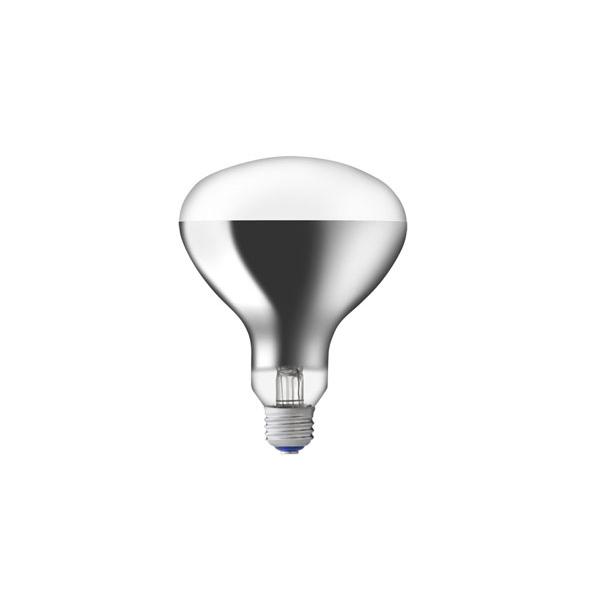 岩崎屋外投光用 RF110V 135WH 150W形 8個 岩崎電気 RF110V135WH 屋外投光用アイランプ 散光形 150W形 白熱ランプ