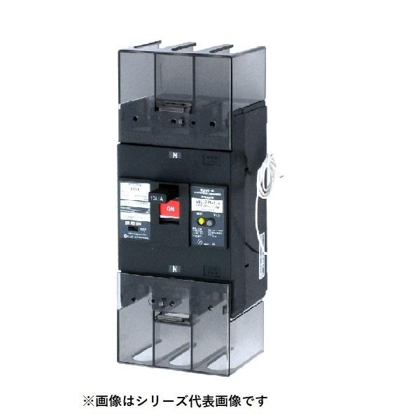 ep[HƁ@U25301EA253FV@RdՒf P3یt OCt ` 250AF 3P2E 100/200V 125A 30mA 󒍕i [§]