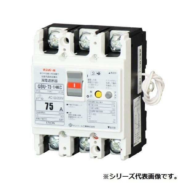 ep[HƁ@U7301HKC7530@Rdu[J Zpd p[eNggp dՋ`TCY P3یt 75A 30mA