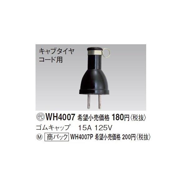 dݎ pi\jbN@WH4007P(PʁF5)@SLbv 15A 125V pbP[Wi