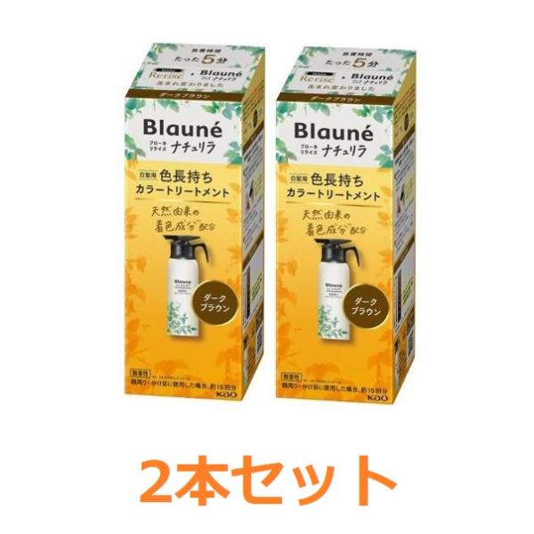 ブローネ 【花王】ブローネ ナチュリラ 色長持ちカラートリートメント