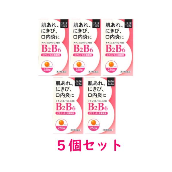 【第3類医薬品】ナチュラルバランスBB　250錠×5個セット【送料無料：沖縄・北海道・離島を除く】