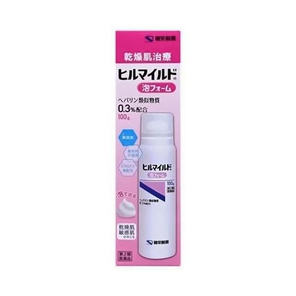 【第2類医薬品】【健栄製薬】ヒルマイルド泡フォーム（100g）