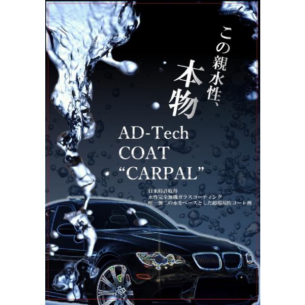 免税店 通販 Ad Techcoat Carpal ガラスコーティング 車 親水コーティング カーコーティング剤 日本初売 Ssl Daikyogo Or Jp