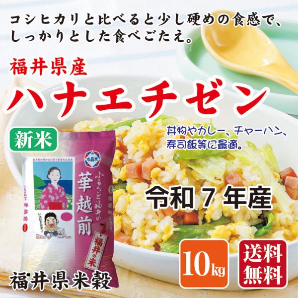 福井県産 華越前 10kg 単一原料米 精米_2025年5月中旬 令和6年産