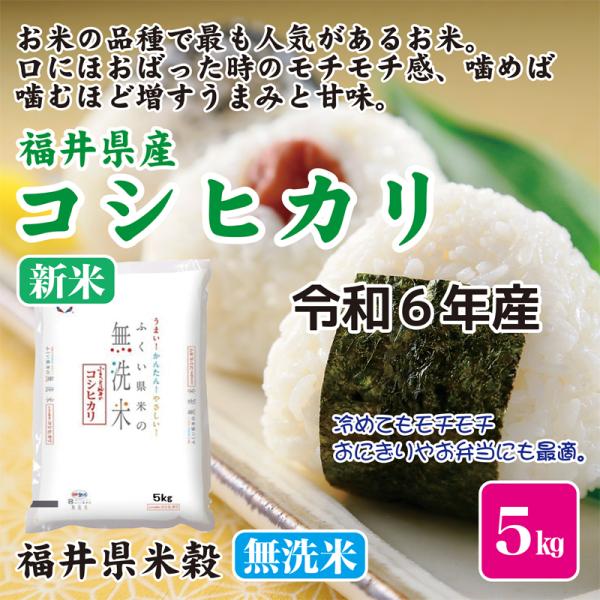 福井県産 新米 5kg×4袋　令和6年 新米 令和6年産 お米 米 5kg こしひかり 無洗米 福井県産 コシヒカリ
