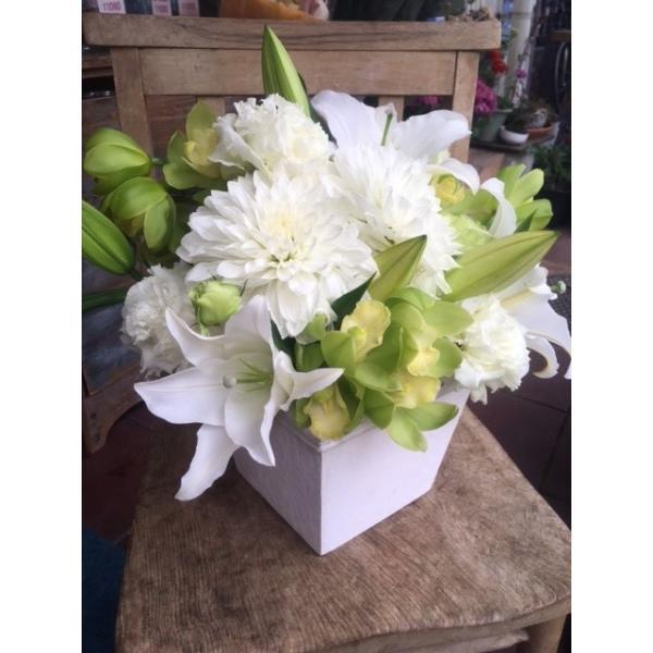 花 お供え アレンジメント Mサイズ 白 グリーン お悔やみ 花 仏花 法事 お供え物 四十九日 法要 命日 一周忌 贈り物 生花 Buyee Buyee Japanese Proxy Service Buy From Japan Bot Online