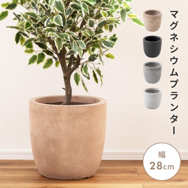 一本木くり抜き鉢 maisonplus_grnb-210