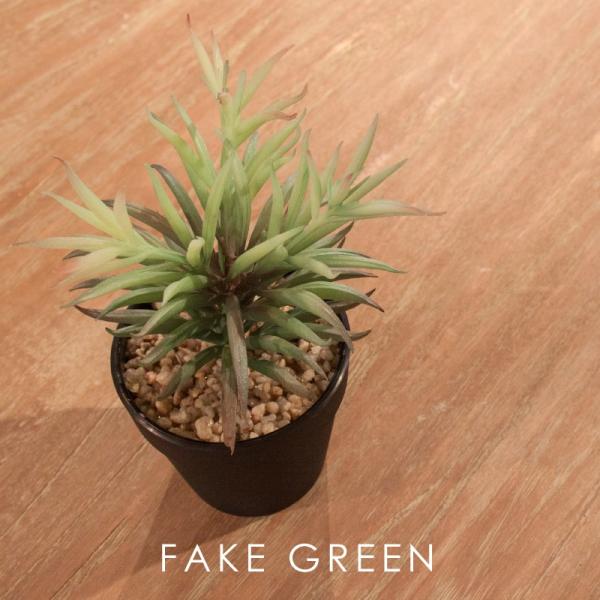 フェイクグリーン おしゃれ 多肉植物 人工観葉 観葉植物 インテリア 造花 リーフ 安い Lfs 900 8 メゾンプラス Yahoo 店 通販 Yahoo ショッピング