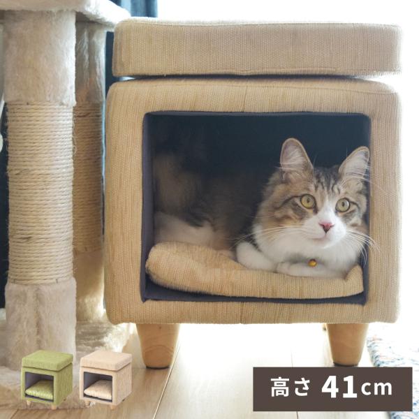 ペットハウス キャットハウス ペットスツール 室内用 スツール 猫 小型