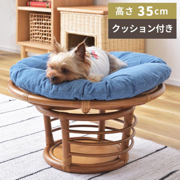 maisonplus_pet-64