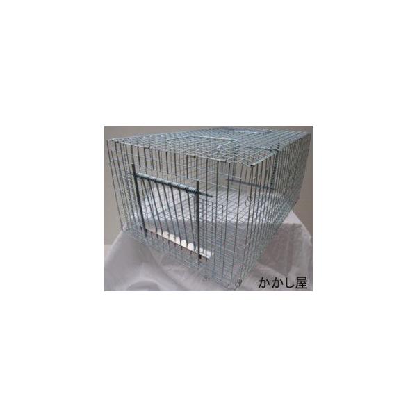 バードトラップ 折り畳み式 ドバトの捕獲に 鳩 はと ハト Buyee Buyee Japanese Proxy Service Buy From Japan Bot Online