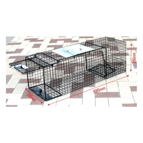 Lb`nEX ݔߊl@i@㩁@I