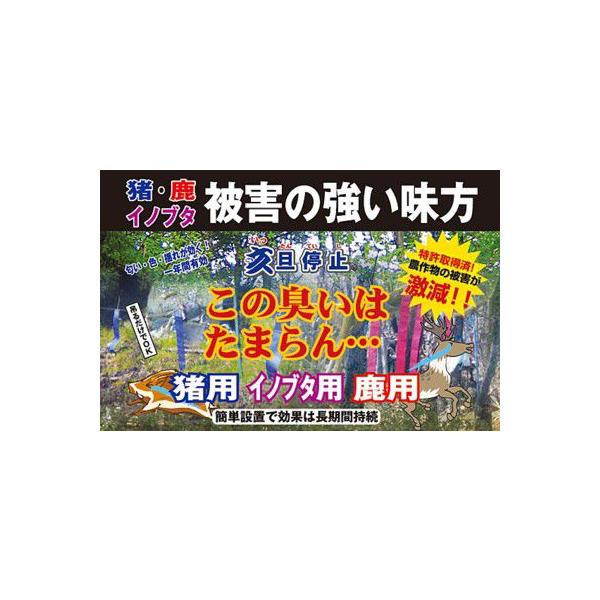 U~iĂjPOOZbg@CmVVɂ앨QɁIhLɂ