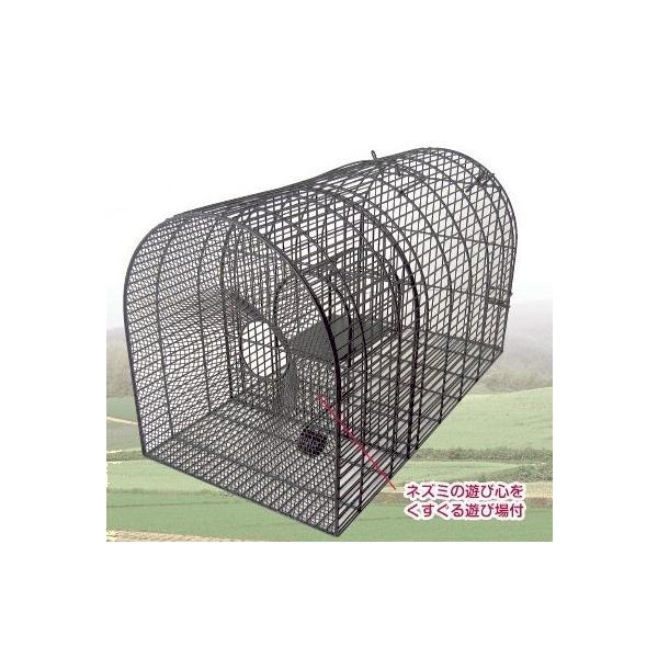 lY~ߊl@hHƁ@ubNanw@NZ3@˂ݕ߂@SʊJ܂B@ ( ubN{bNXSR R-09 )