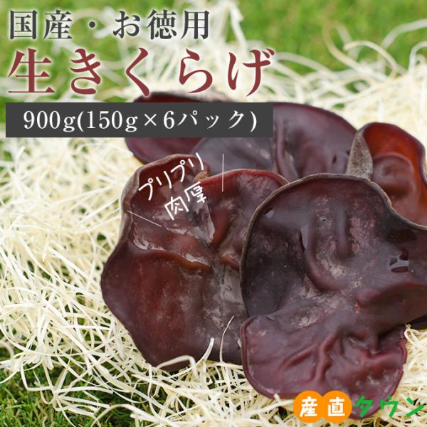 ◆品名静岡産 生きくらげ 900g◆商品紹介静岡県で生産している、新鮮なままの肉厚きくらげをお届け。プリプリ食感が美味しいきくらげは、美容と健康に貢献する栄養もたっぷり。さらに低カロリーということで、近年注目を集めています。また、乾燥きくら...