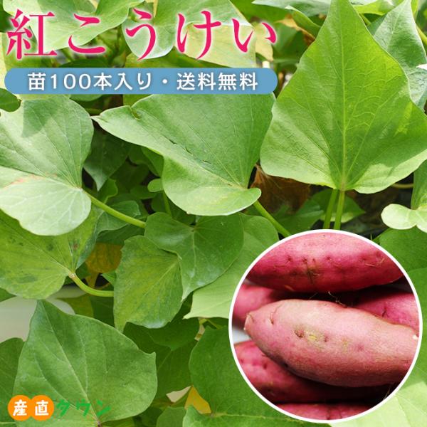 maiu-town_707012