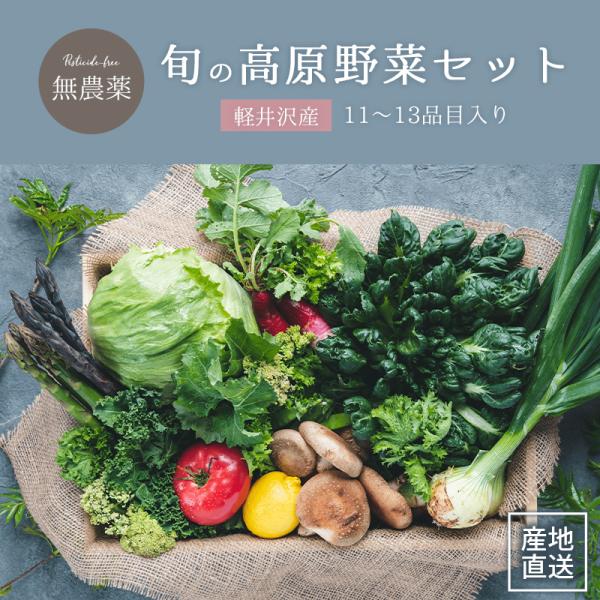 ◆品名【 11~13品目入り 】朝採り 軽井沢産 旬の無農薬高原野菜セット◆商品説明長野県軽井沢町で育つ朝採り高原野菜を、その時の旬でバランスよくミックスした野菜セットです。栽培期間中農薬不使用による栽培、寒暖差が生む甘みと旨みがつまった高...