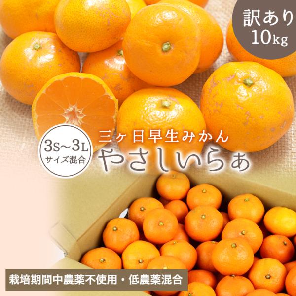 ◆品名【訳あり】低農薬 有機栽培 / 栽培期間中農薬不使用 無肥料 混合三ヶ日みかん「やさしいらぁ」早生 10kg サイズ不揃い◆商品紹介静岡県三ヶ日のINDENファームさんが栽培した早生みかんです。低農薬・有機栽培のみかんと、栽培期間中農...