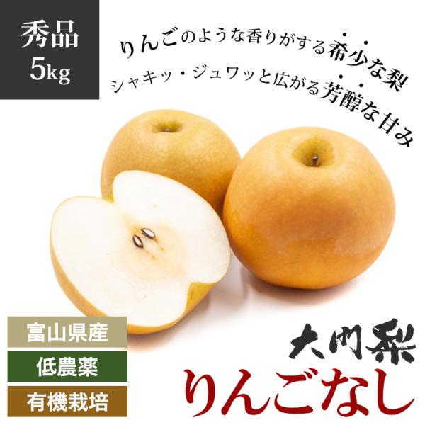 【予約】秀品 大門梨 低農薬 有機栽培 りんご梨 5kg 富山県産 朝採り 梨 完熟梨 赤土栽培 完熟 樹熟 呉羽梨 フルーツ 梨 ナシ なし 果物 美味しい おいしい 甘い