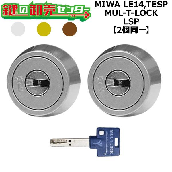 MIWA LE14,TESP 鍵交換用 MUL-T-LOCK,マルティロック LSP 2個同一