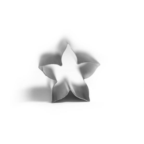 aَq  y^X  #2 XeX ̓