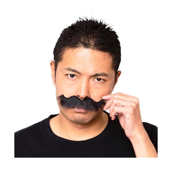 宴会の達人 紳士なひげ 黒 ジェントルマン マジシャン 手品師 男前