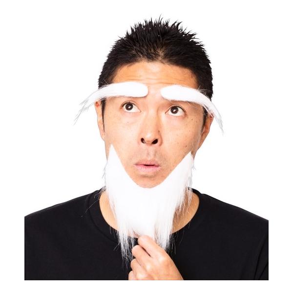 宴会の達人 科学者の眉毛とひげ 白 サイエンティスト ジェントルマン マジシャン 手品師 男前 アーティスト 芸術家