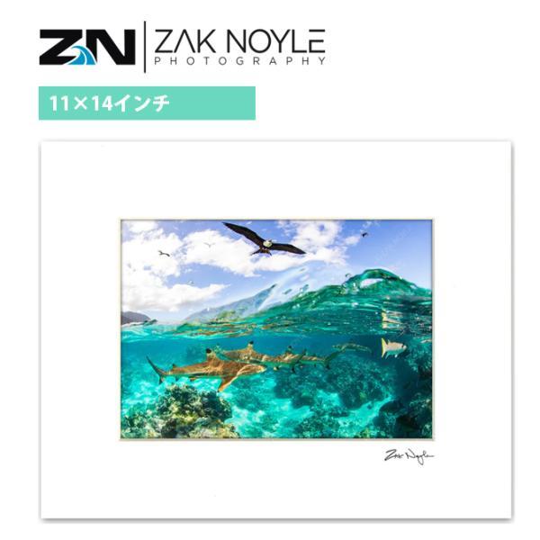 ザック・ノイルは、ハワイ・オアフ島をベースに活動している水中フォトグラファー。ハワイ生まれのロコで海が大好きなアーティスト。莫大な時間を水の中で過ごし、偉大なる海の素晴らしさをドラマティックかつ芸術的に表現し続けています。2011 年にサー...