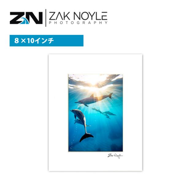 ザック・ノイルは、ハワイ・オアフ島をベースに活動している水中フォトグラファー。ハワイ生まれのロコで海が大好きなアーティスト。莫大な時間を水の中で過ごし、偉大なる海の素晴らしさをドラマティックかつ芸術的に表現し続けています。2011 年にサー...