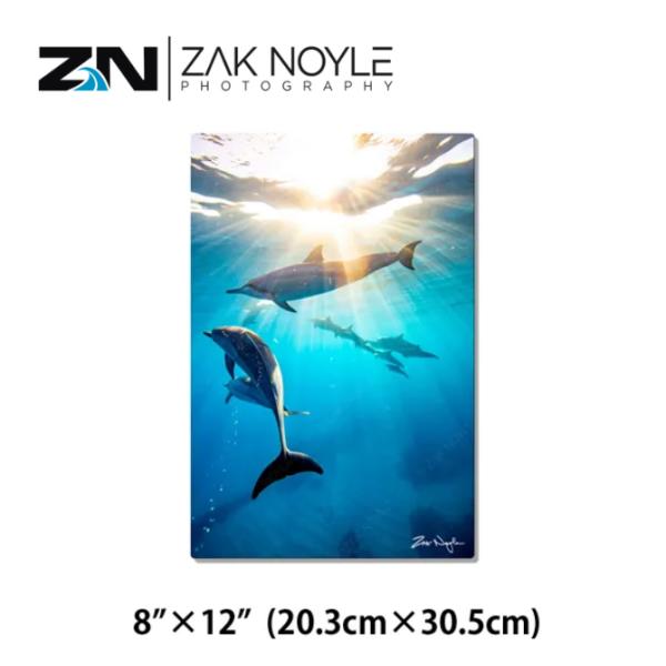 Zak Noyle（ザックノイル）のアルミニウムプリント 【 STAFF MEETING 】ザック・ノイルは、ハワイ・オアフ島をベースに活動している水中フォトグラファー。ハワイ生まれのロコで海が大好きなアーティスト。莫大な時間を水の中で過ご...