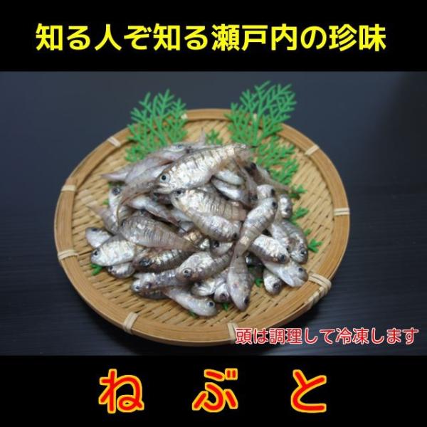 ねぶと テンジクダイ いしもち ３ｄ冷凍 知る人ぞ知る瀬戸内の珍味 ３ｄフリーザーで急速冷凍してお届けします Buyee Buyee 日本の通販商品 オークションの代理入札 代理購入