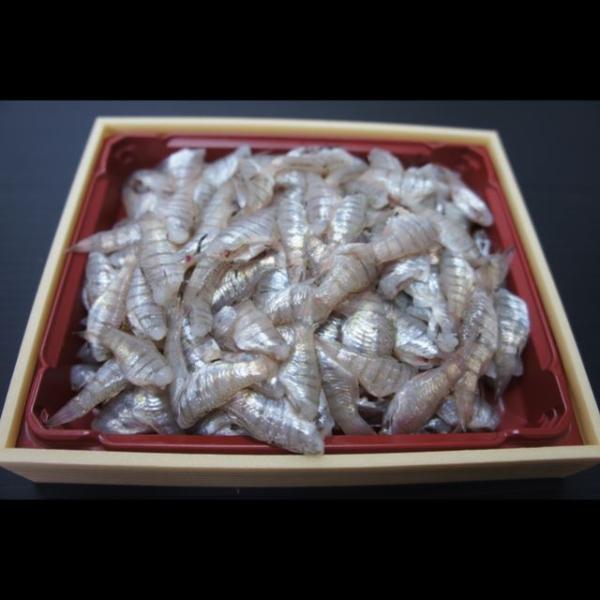 ねぶと テンジクダイ いしもち ３ｄ冷凍 知る人ぞ知る瀬戸内の珍味 ３ｄフリーザーで急速冷凍してお届けします Buyee Buyee 日本の通販商品 オークションの代理入札 代理購入