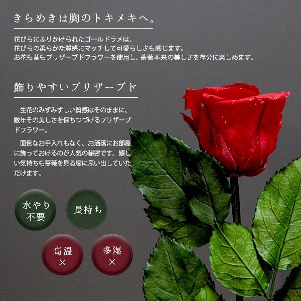 プリザーブドフラワー 花 誕生日 プレゼント プロポーズ 薔薇 一輪 A Single Rose Buyee 日本代购平台 产品购物网站大全 Buyee一站式代购 Bot Online