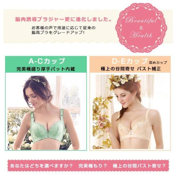 バストアップ ブラジャー セット ブラジャーショーツセット 脇肉 補正下着 大きいサイズ ブラ Buyee 日本代购平台 产品购物网站大全 Buyee一站式代购 Bot Online