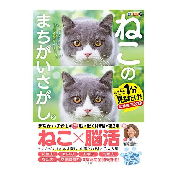 毎日脳活スペシャル　ねこのまちがいさがし2
