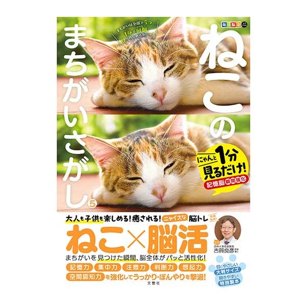 毎日脳活スペシャル　ねこのまちがいさがし5