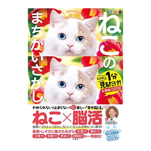 毎日脳活スペシャル　ねこのまちがいさがし6