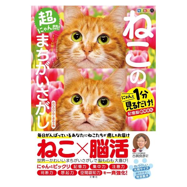 毎日脳活スペシャル　超にゃん問！ねこのまちがいさがし　のびのびねこ多めの巻