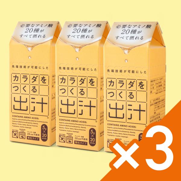 カラダをつくる出汁 5g入×20本【3箱セット60本】添加物不使用 無添加