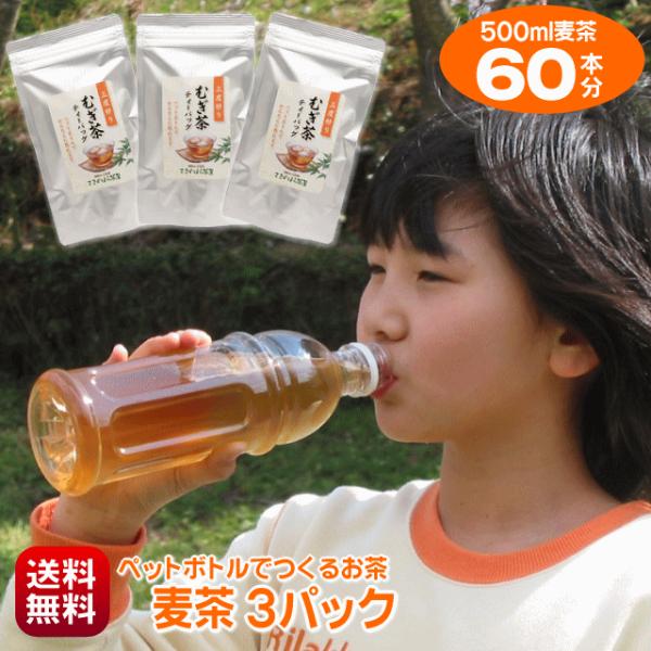 麦茶 パック 500ml ペットボトル 60本 作れる 細長 ティーバッグ 20個入り 3パック 国産大麦 三度炒り ノンカフェイン こおばしい ポスト投函