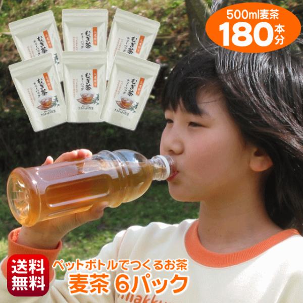 麦茶 パック 500ml ペットボトル 180本 作れる 細長ティーバッグ 500ml用 30個入り 6パック お徳用セット ノンカフェイン  手作り 送料無料
