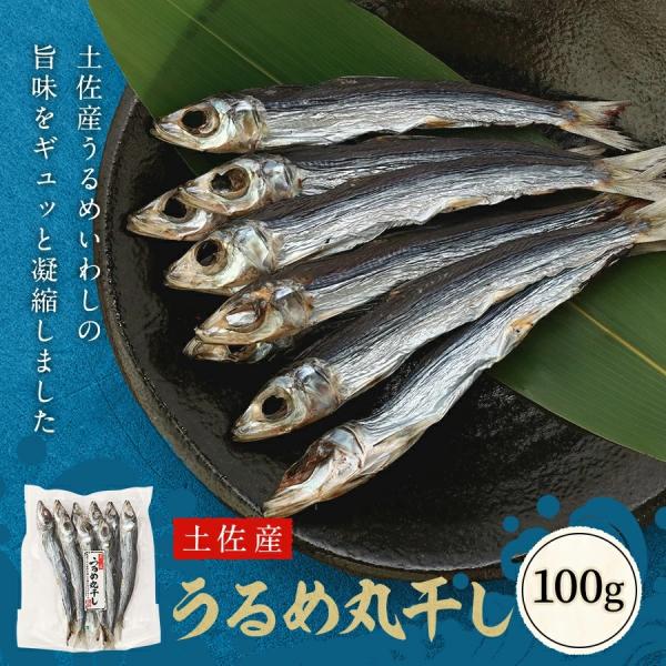 うるめ丸干し　土佐　高知県産　うるめいわし