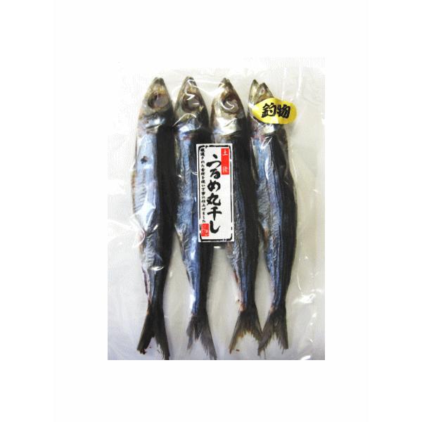 釣りうるめ 土佐 高知 うるめいわし : マキノ海産 - 通販 - Yahoo